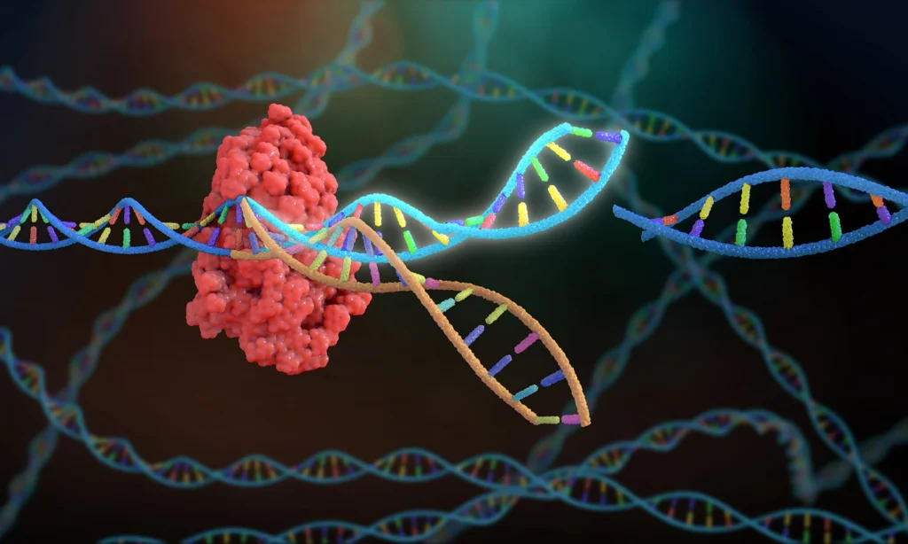 CRISPR : Les Ciseaux Génétiques Qui Réécrivent le Vivant