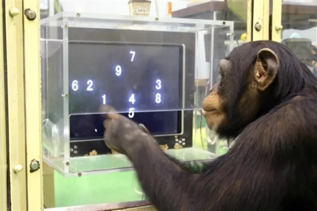Intelligence Animale : Ce Que la Science Révèle