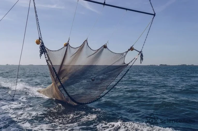 Chalutier de pêche illustrant la pression sur les ressources marines