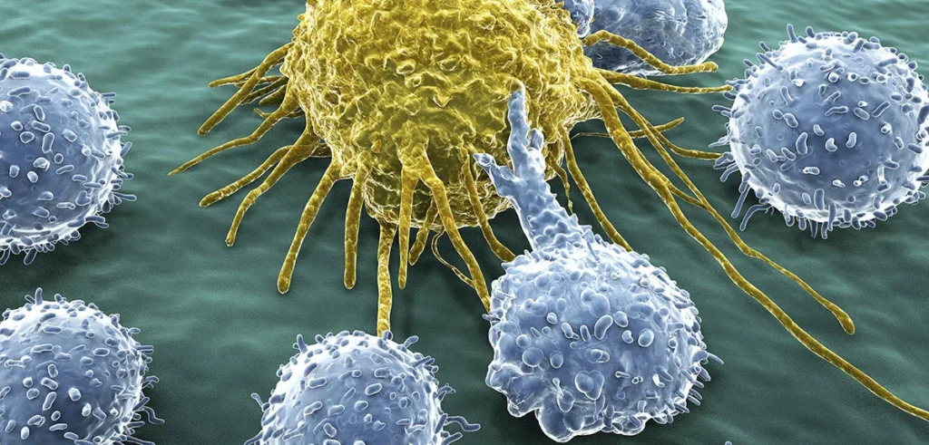 Immunothérapie : La Révolution dans le Traitement du Cancer