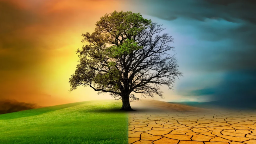 changement climatique - Climat & Terre : Comprendre les Enjeux Environnementaux