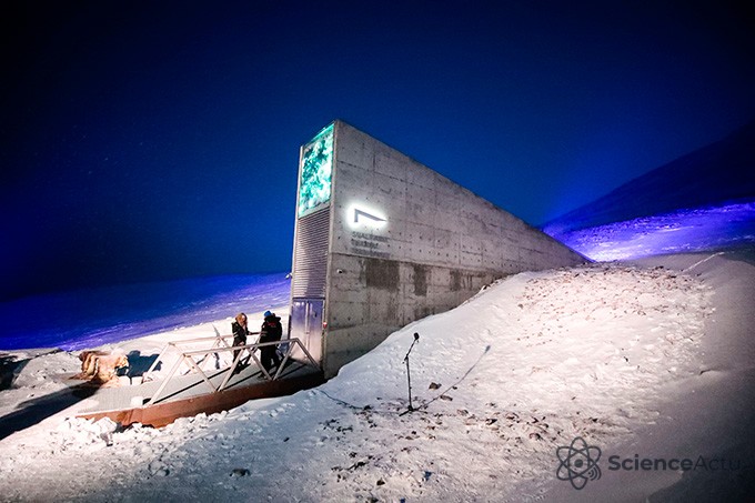 Entrée en béton brut du Svalbard Global Seed Vault sortant d'une colline enneigée.