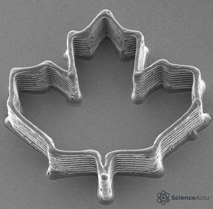 Une minuscule structure imprimée en 3D en forme de feuille d'érable reposant sur une surface lisse.
