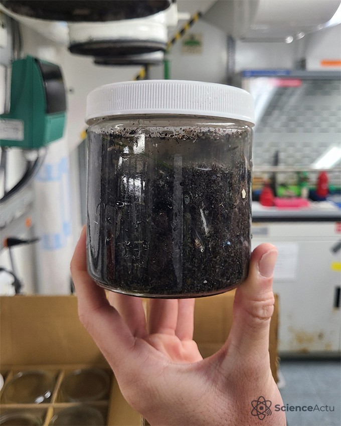 Un bocal d'environ la taille d'une main rempli d'eau et de cendres noires et de débris.