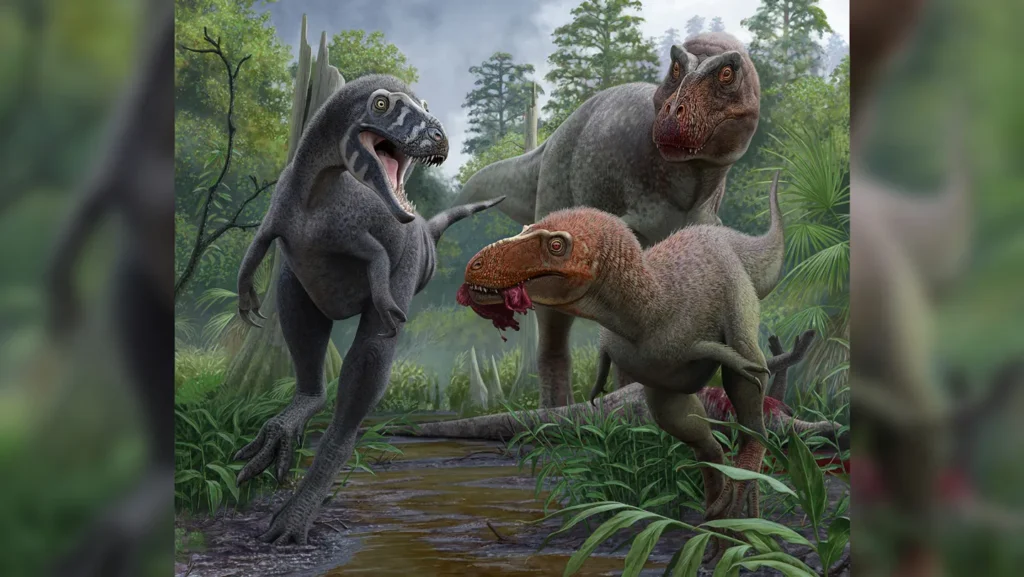 Nanotyrannus : la fin du débat sur le "mini" T. rex
