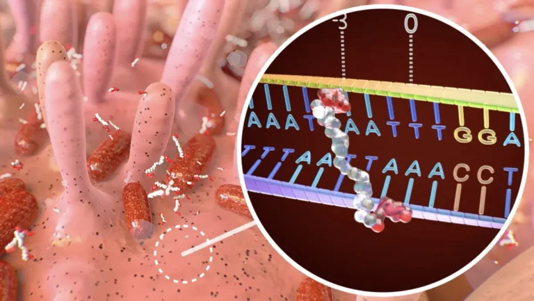 Colibactine : le mécanisme de la toxine du cancer du côlon