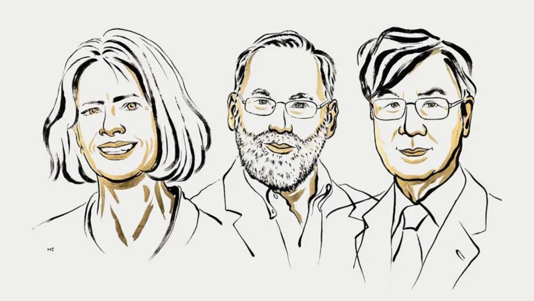 Nobel de Médecine 2025 : découverte des lymphocytes T régulateurs