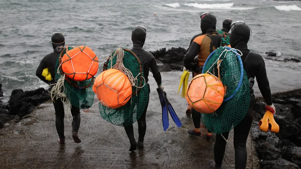 Haenyeo : l'adaptation physiologique exceptionnelle des plongeuses