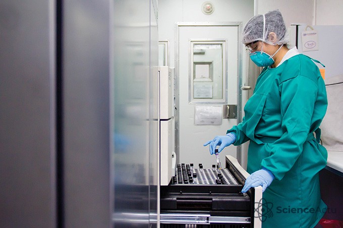 Scientifique examinant une culture de bactéries tuberculeuses dans un laboratoire au Pérou géré par Socios En Salud.