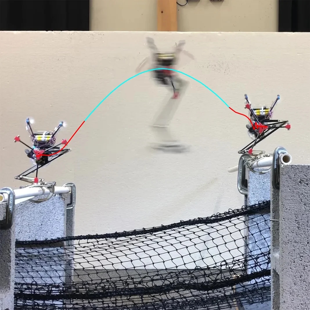 Salto : le robot bio-inspiré qui atterrit comme un écureuil