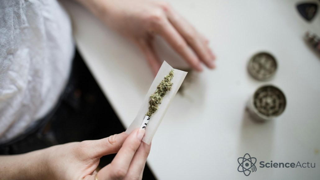 Une personne tenant du cannabis sur un papier blanc.