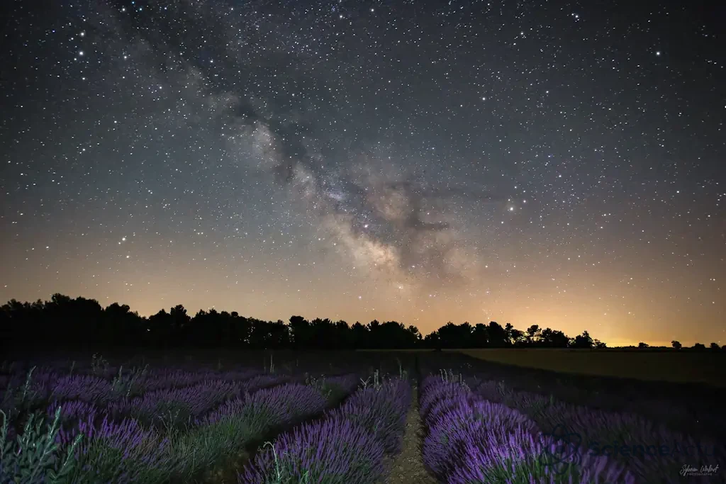 Voie Lactée : Notre Galaxie Sous Tous les Angles Voie Lactée : Notre Galaxie Sous Tous les Angles