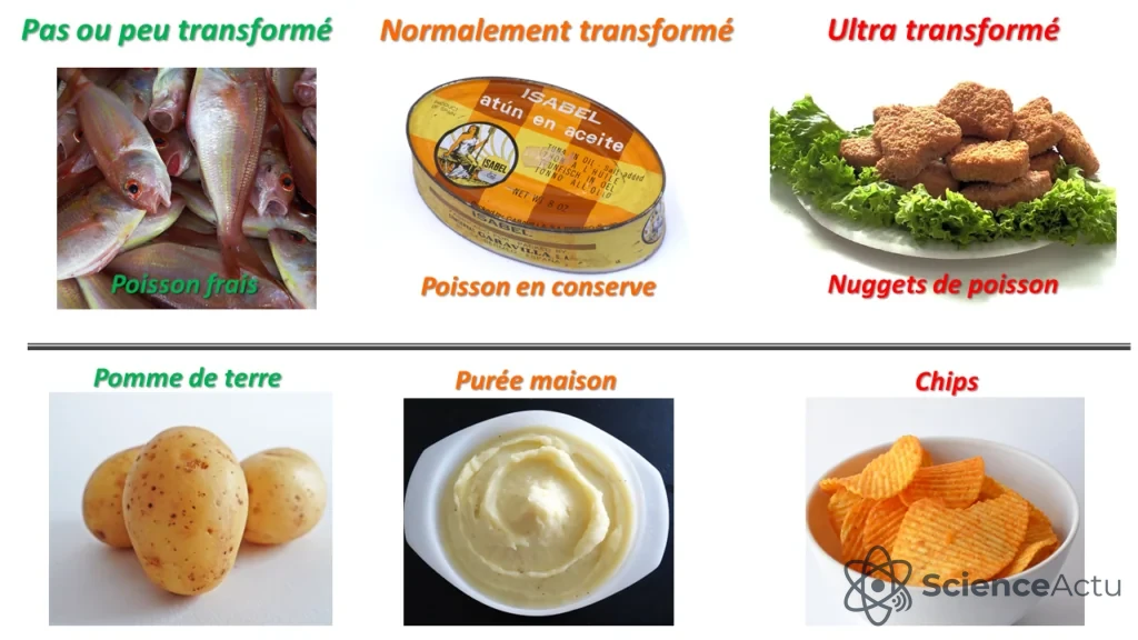 Illustration des quatre groupes de la classification NOVA allant du brut à l'ultra-transformé