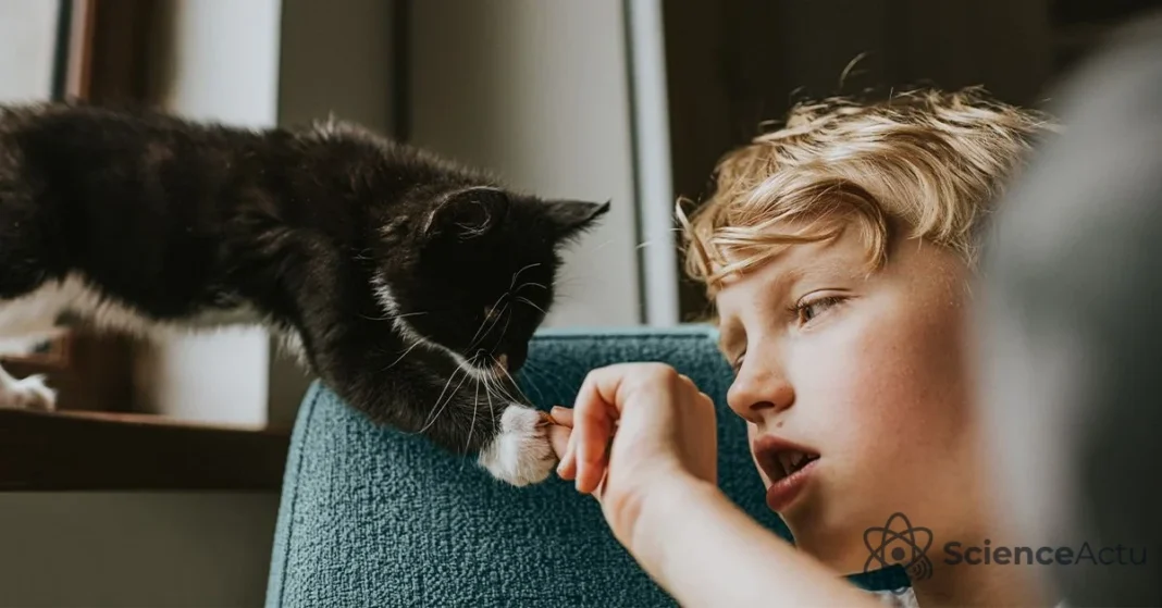 Biologie et éthologie du chaton : la science de l’adaptation Biologie et éthologie du chaton : la science de l’adaptation