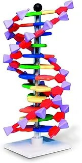 Molymod Modèle de double hélice d'ADN, 12 segments, kit miniDNA