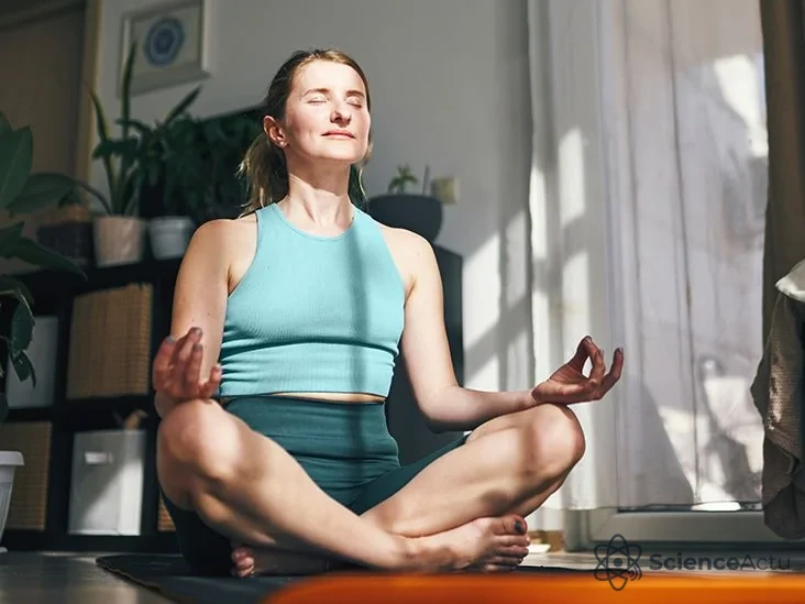 Lien Cerveau-Cœur : L’Impact Biologique du Stress Lien Cerveau-Cœur : L’Impact Biologique du Stress