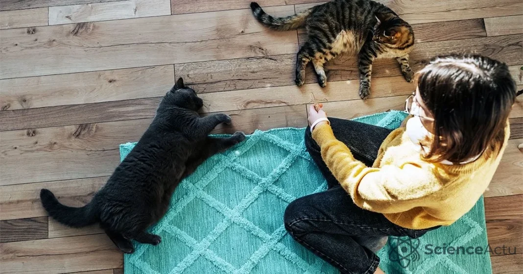 Obésité Féline : La Science Biologique Derrière le Poids du Chat Obésité Féline : La Science Biologique Derrière le Poids du Chat