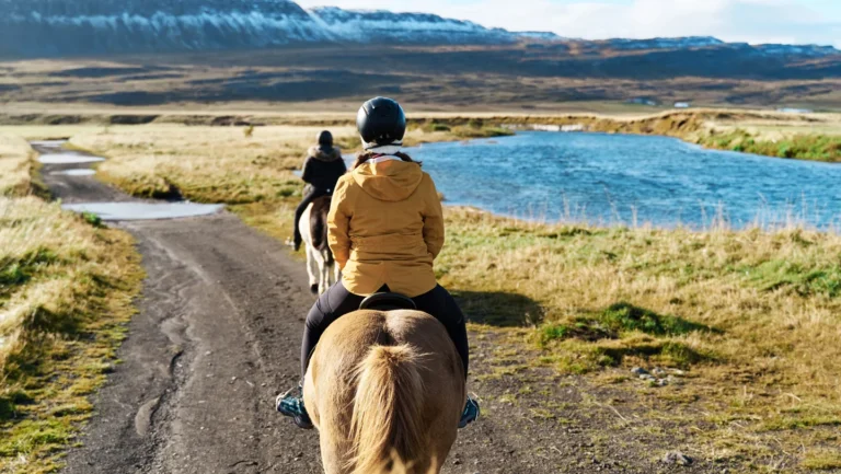 Domestication du cheval : une mutation génétique clé