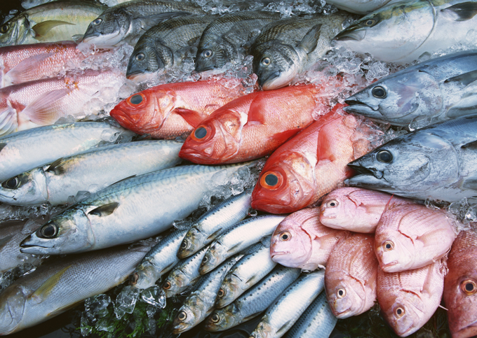 Poissons frais sur glace