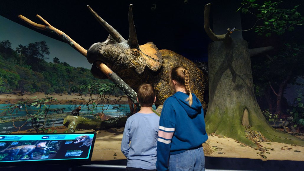 Exposition Triceratops AMNH