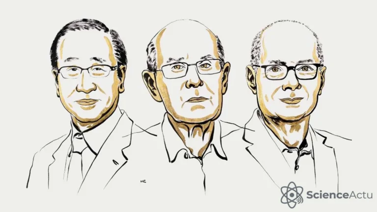 Prix Nobel de chimie 2025 : les structures MOF récompensées