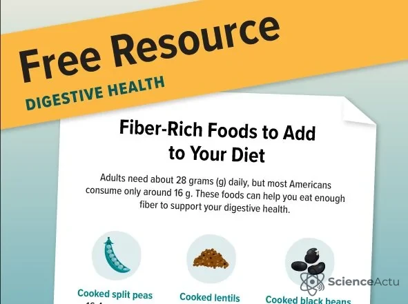 La Science des Fibres : Comment Elles Reprogramment le Microbiome La Science des Fibres : Comment Elles Reprogramment le Microbiome