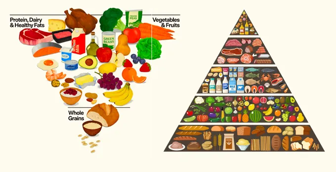 Comparaison des pyramides alimentaires