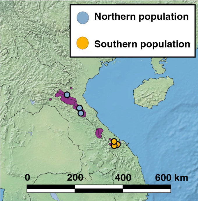 Carte de la distribution des populations de saola au Laos et au Vietnam