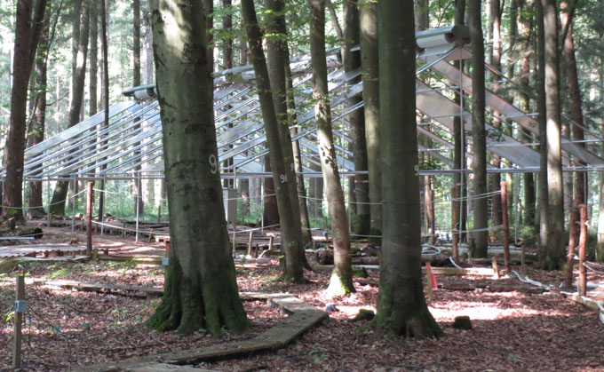 Structure de recherche en forêt de Munich