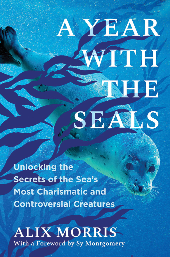 Couverture du livre A Year with the Seals par Alix Morris