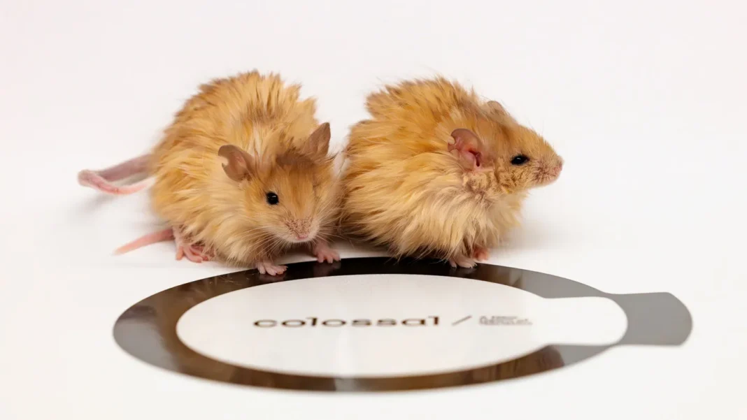 Les découvertes animales les plus insolites de 2025 Les découvertes animales les plus insolites de 2025
