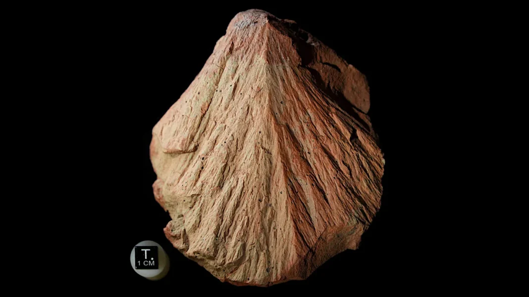 Impact d’astéroïde ancien : une clé pour la vie sur Mars ? Impact d’astéroïde ancien : une clé pour la vie sur Mars ?