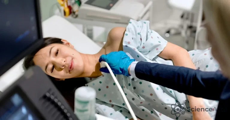 Thyroïdite Silencieuse : Les Mécanismes de cette Tempête Hormonale - Santé & Médecine