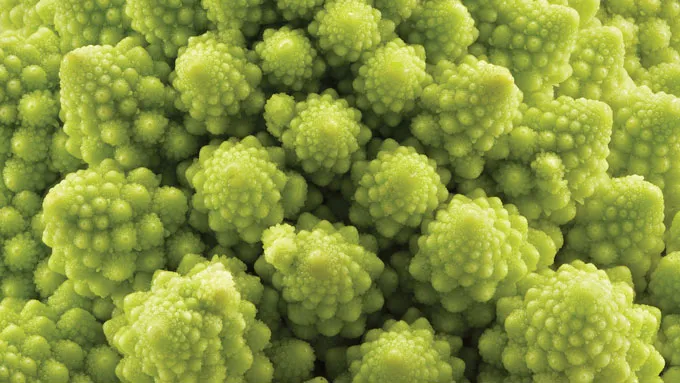 Structure fractale d'un brocoli Romanesco