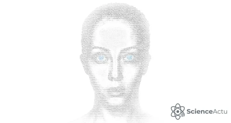 L'ADN peut-il prédire le visage d'un suspect ?