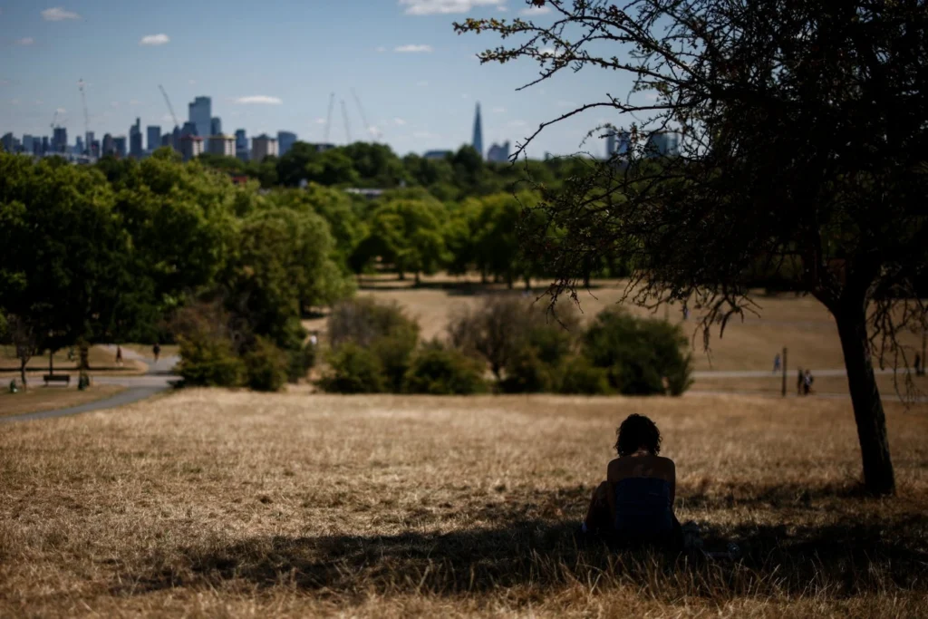 Une personne assise à l’ombre d’un arbre, sur une pelouse jaunie, avec des arbres et les immeubles de Londres au loin.